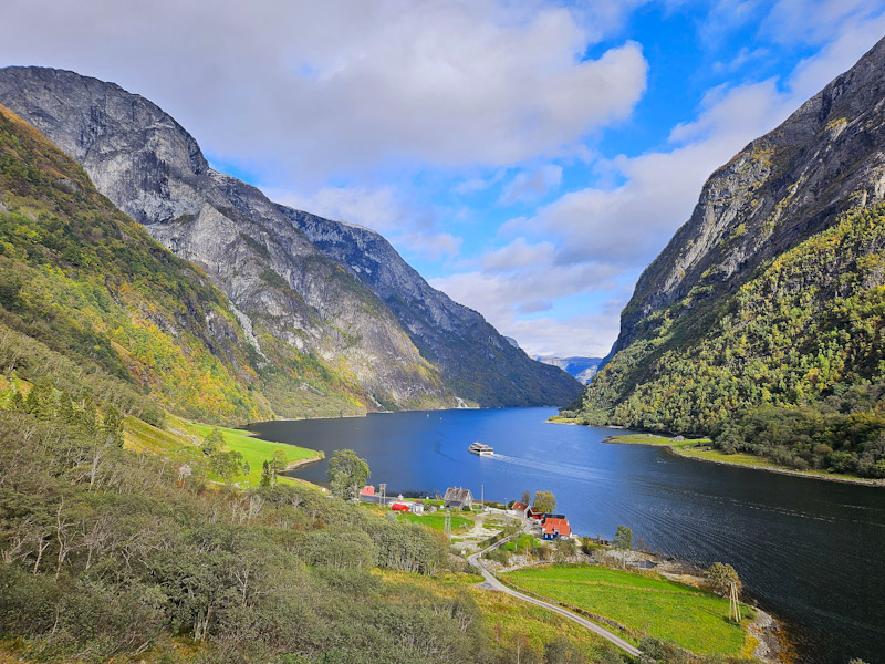 Turfølgje i fjellet