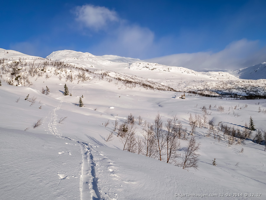 Ryggtravers på ski