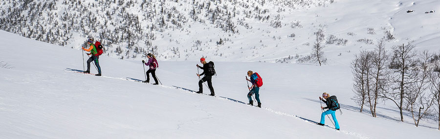 Toppturar i Myrkdalen